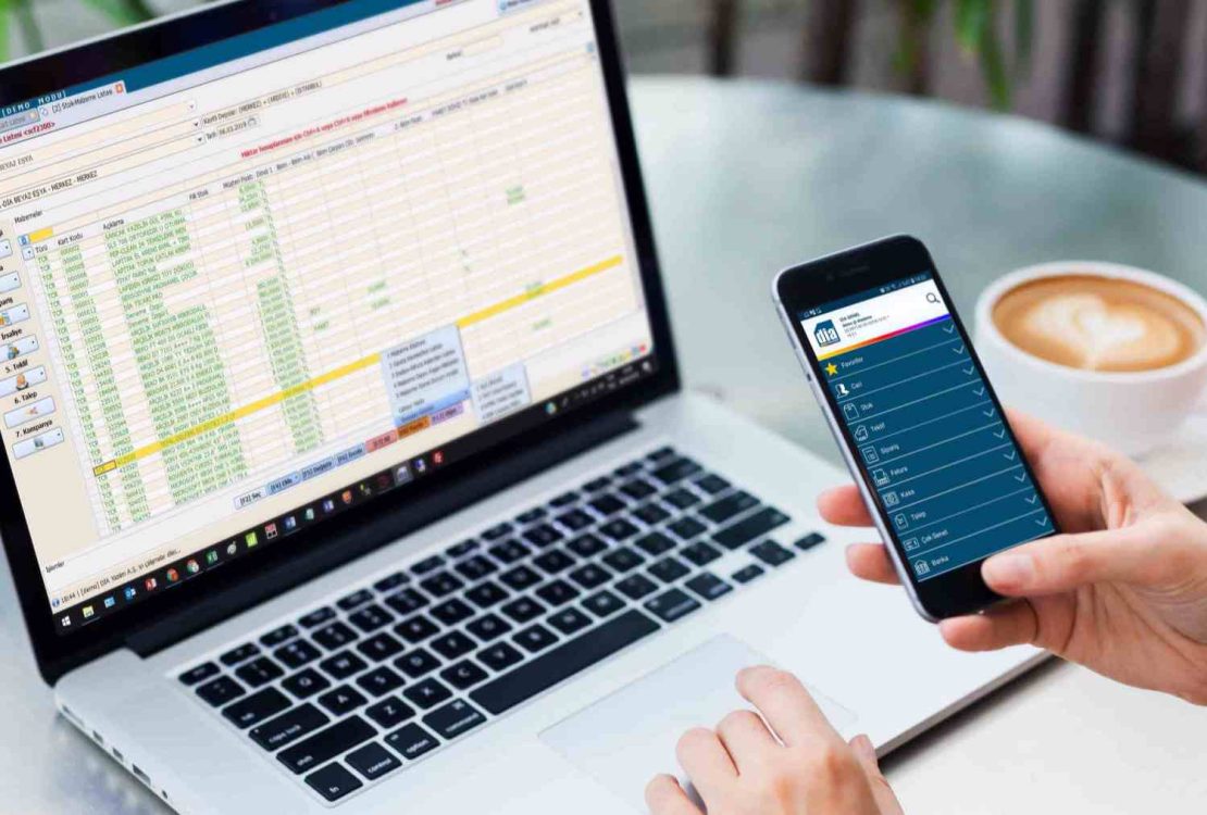 online erp muhasebe programi
