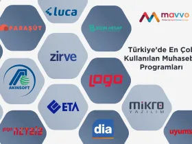 turkiyedekullanilanencokmuhasebeprogramlari