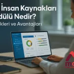 dia insan kaynaklari